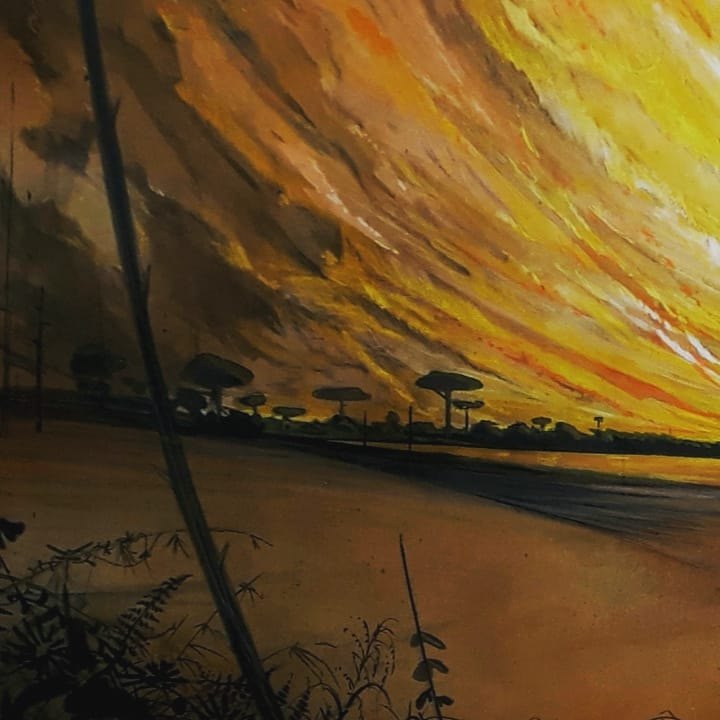 FLÁVIO DUTKA: Artista visual retrata o seu olhar sobre a natureza na mostra Tons de Beira, na Ivan Marrocos