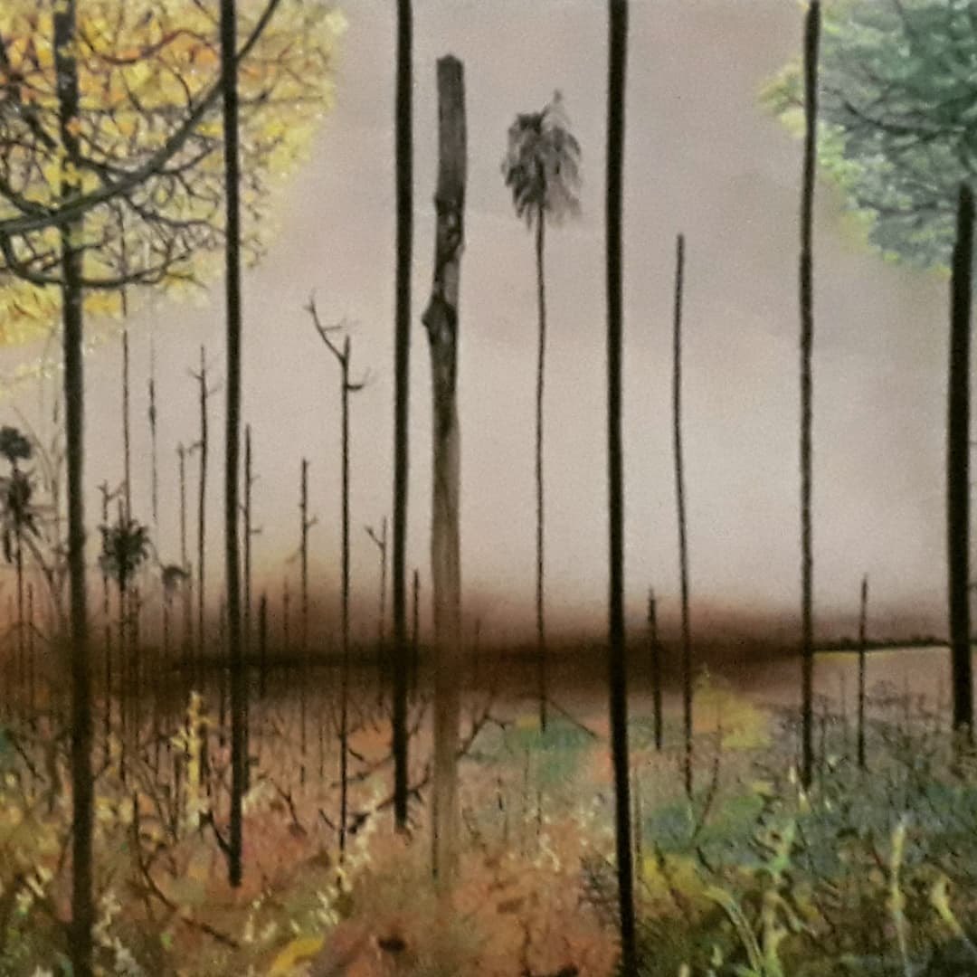 FLÁVIO DUTKA: Artista visual retrata o seu olhar sobre a natureza na mostra Tons de Beira, na Ivan Marrocos