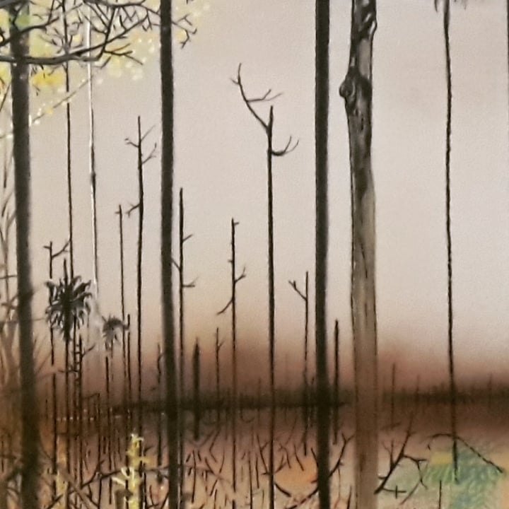 FLÁVIO DUTKA: Artista visual retrata o seu olhar sobre a natureza na mostra Tons de Beira, na Ivan Marrocos