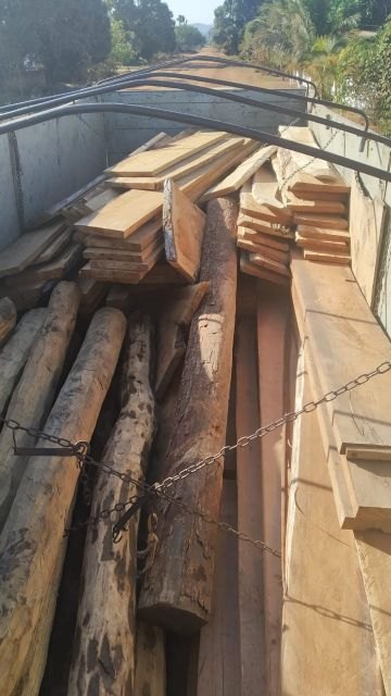 CABIXI: Sem documentos, caminhão é apreendido transportando madeira ilegal