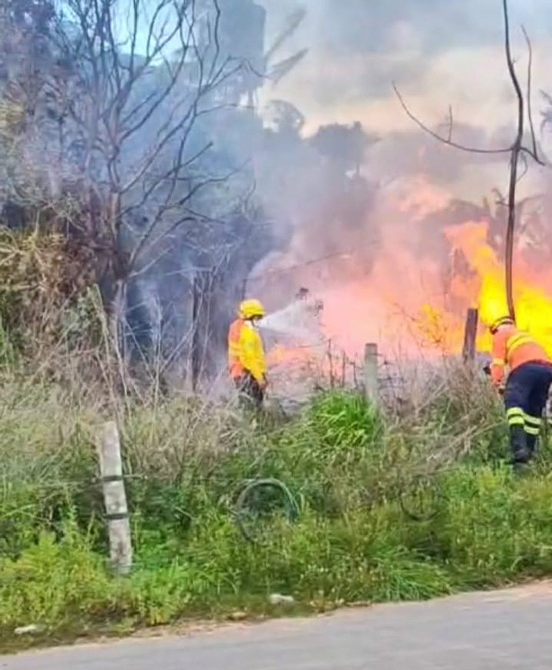 VÍDEO: Incêndio de grandes proporções destrói residência em Campo Novo de Rondônia
