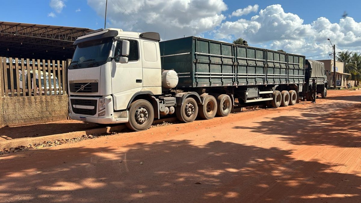 CRIMES AMBIENTAIS: 17ª Brigada divulga resultados parciais da Operação Curaretinga II