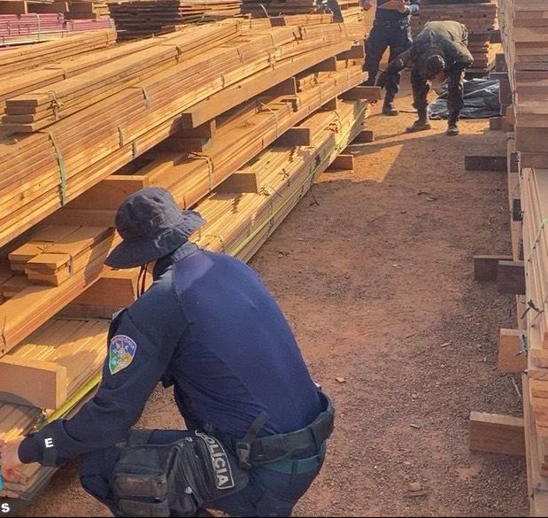 CRIMES AMBIENTAIS: 17ª Brigada divulga resultados parciais da Operação Curaretinga II