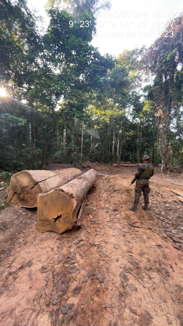 CRIMES AMBIENTAIS: 17ª Brigada divulga resultados parciais da Operação Curaretinga II
