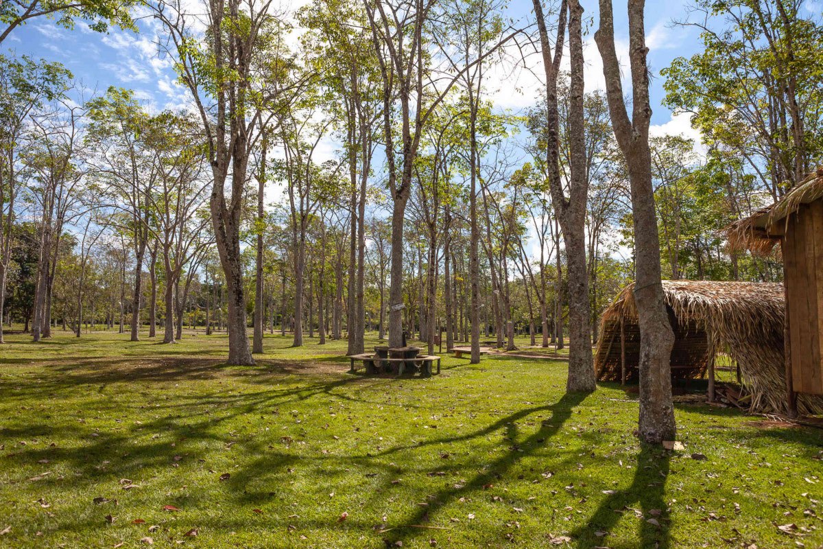 TURISMO: Parque Circuito é excelente opção de lazer na capital