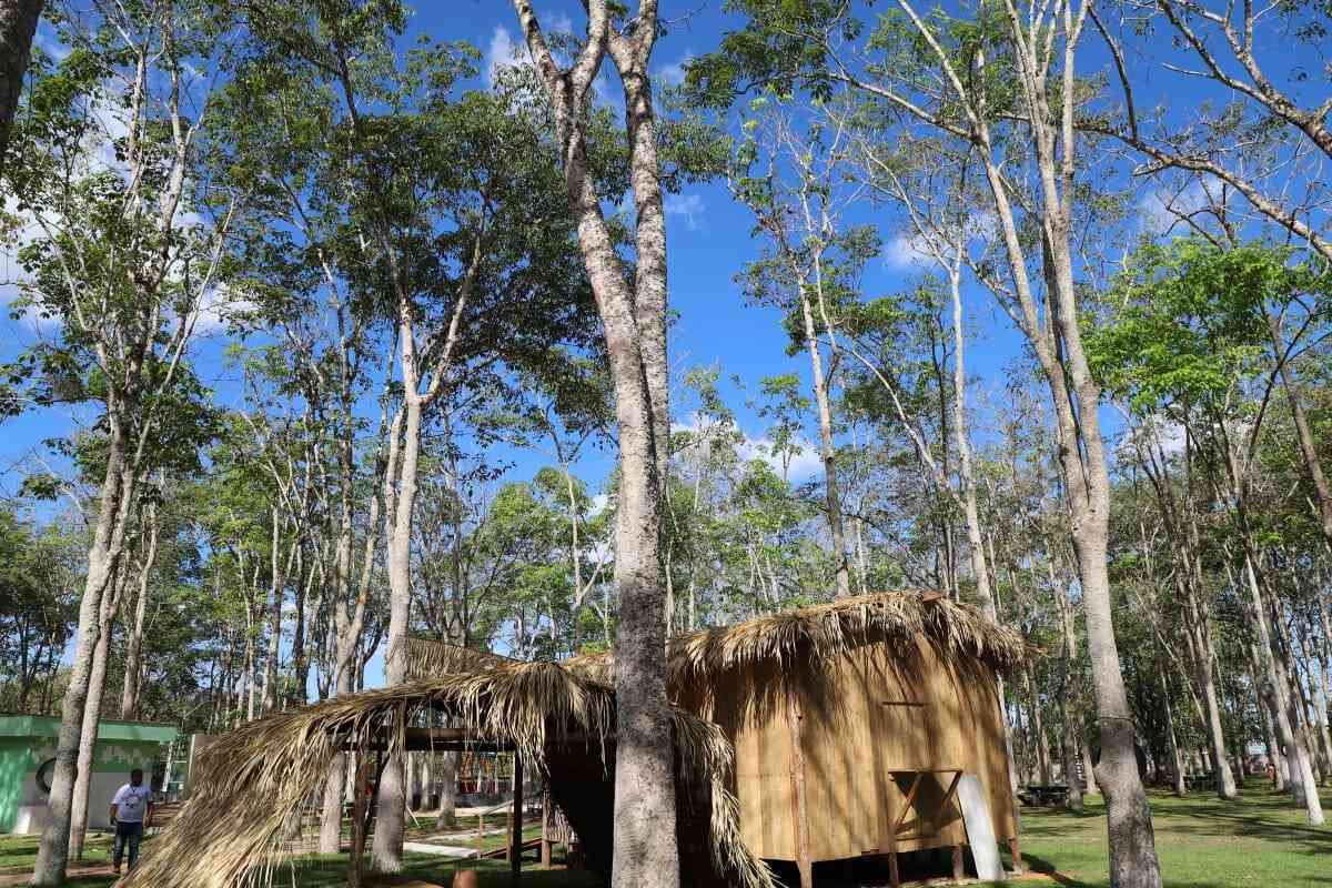 TURISMO: Parque Circuito é excelente opção de lazer na capital