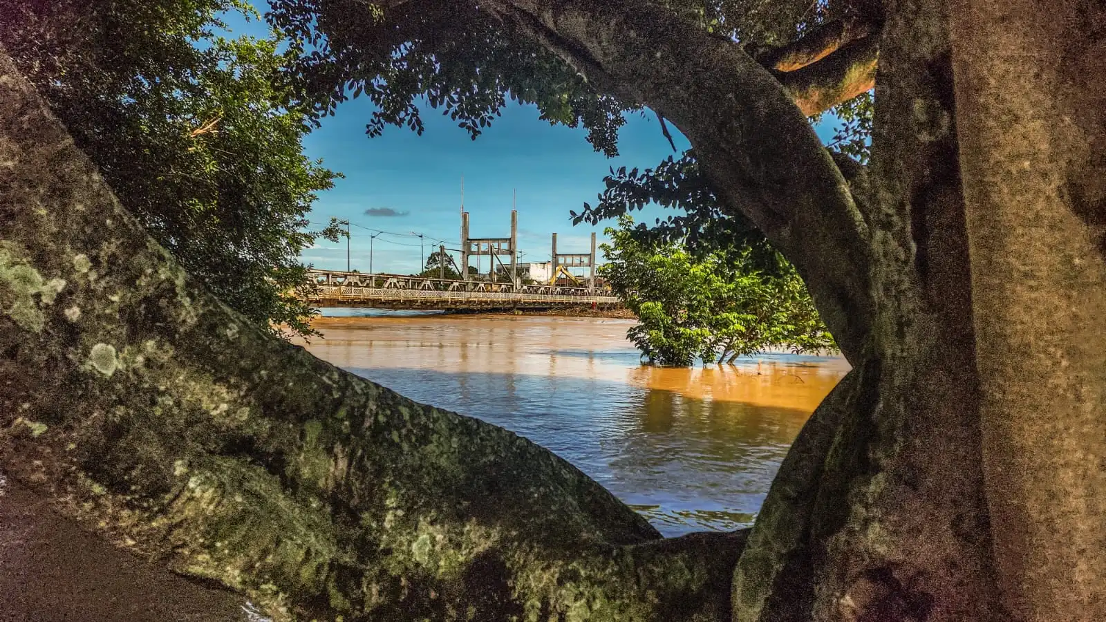 RIO BRANCO: Veja as fotos da cheia que está atingindo a capital acreana