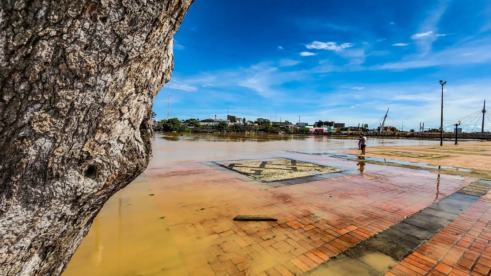 RIO BRANCO: Veja as fotos da cheia que está atingindo a capital acreana