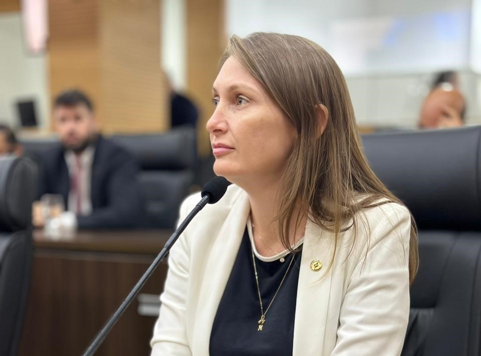 LEBRINHA: Deputada defende boas estradas para aquecer economia nos municípios