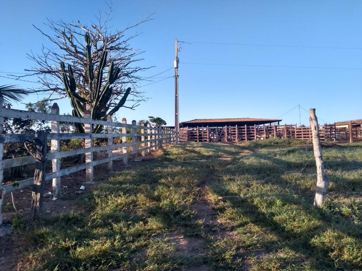 CONTA DE LUZ: Produtores rurais precisam se recadastrar na Energisa