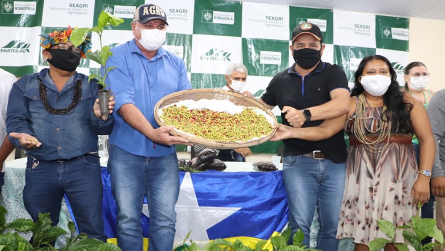 PLANTAÇÃO: Indígenas dos povos Gavião e Arara recebem mudas de café clonal