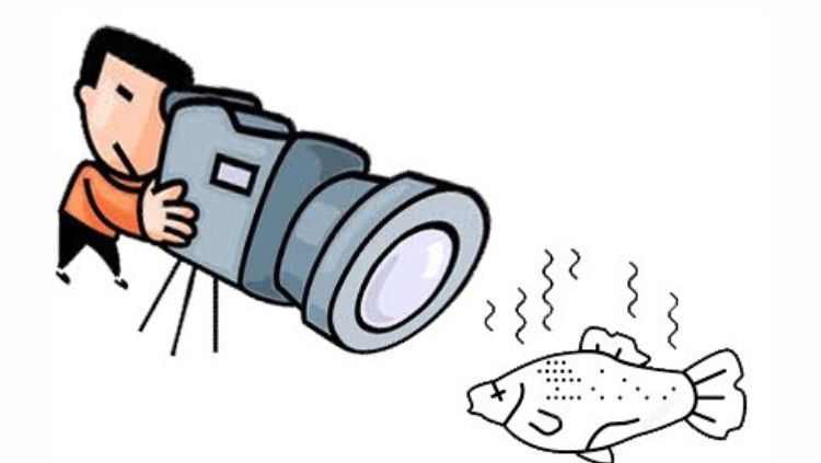 EDITAL LPG: Empresa de Limpeza, empreendedor(?), dono de bar e assessor parlamentar entre os contempladosem 