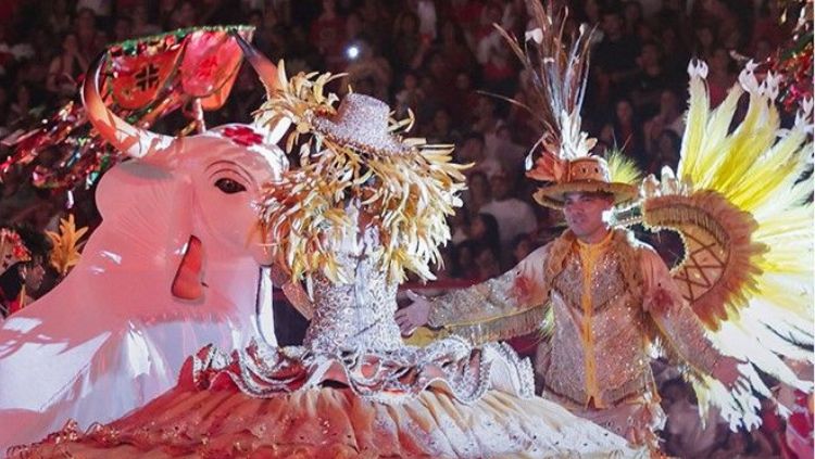 SEJUCEL: Edital referente à Lei Paulo Gustavo, que atende audiovisual, está com inscrições abertas