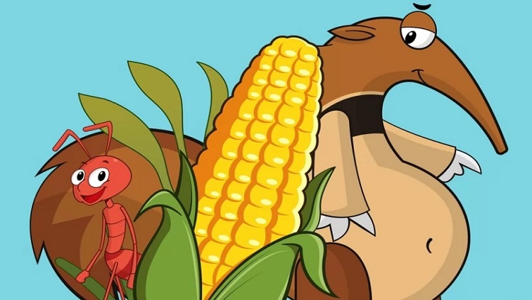 SESC RO: Projeto artístico-cultural contemplará 52 municípios; atividade inicia nesta terça