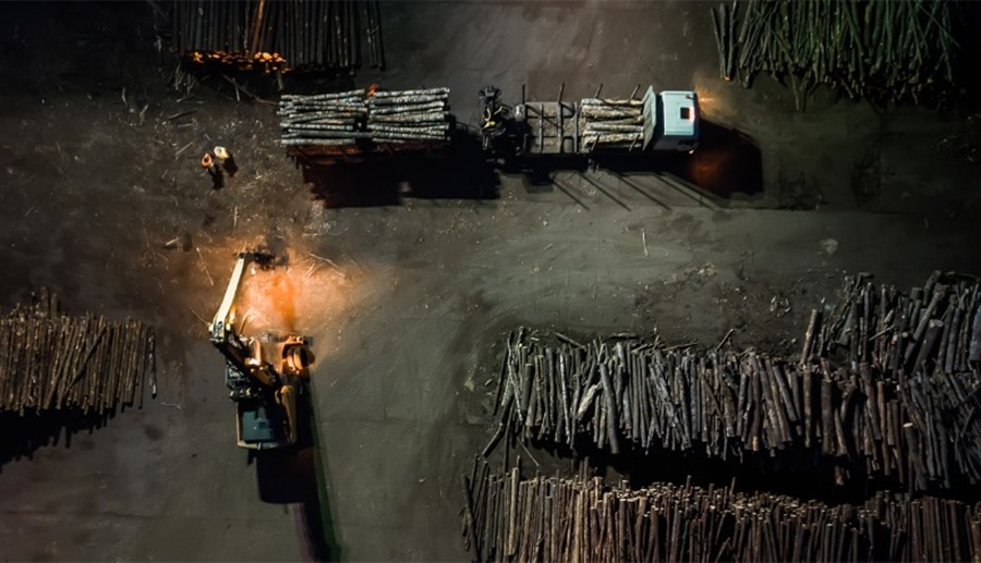 MEIO AMBIENTE: MP aguarda julgamento de ADI contra Lei Estadual que proíbe a destruição de bens