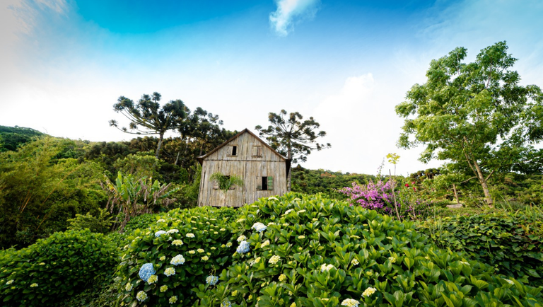 CAMPO: Inscrições para o Projeto Experiências do Brasil Rural estão abertas