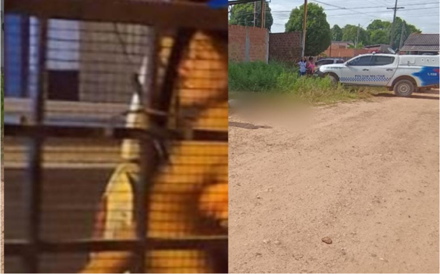 EXECUÇÃO: Deficiente auditiva é assassinada a tiros no meio da rua