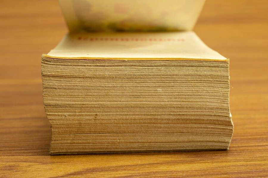 ATENÇÃO: Bancada Federal confirma presença para tratar situação de transposto