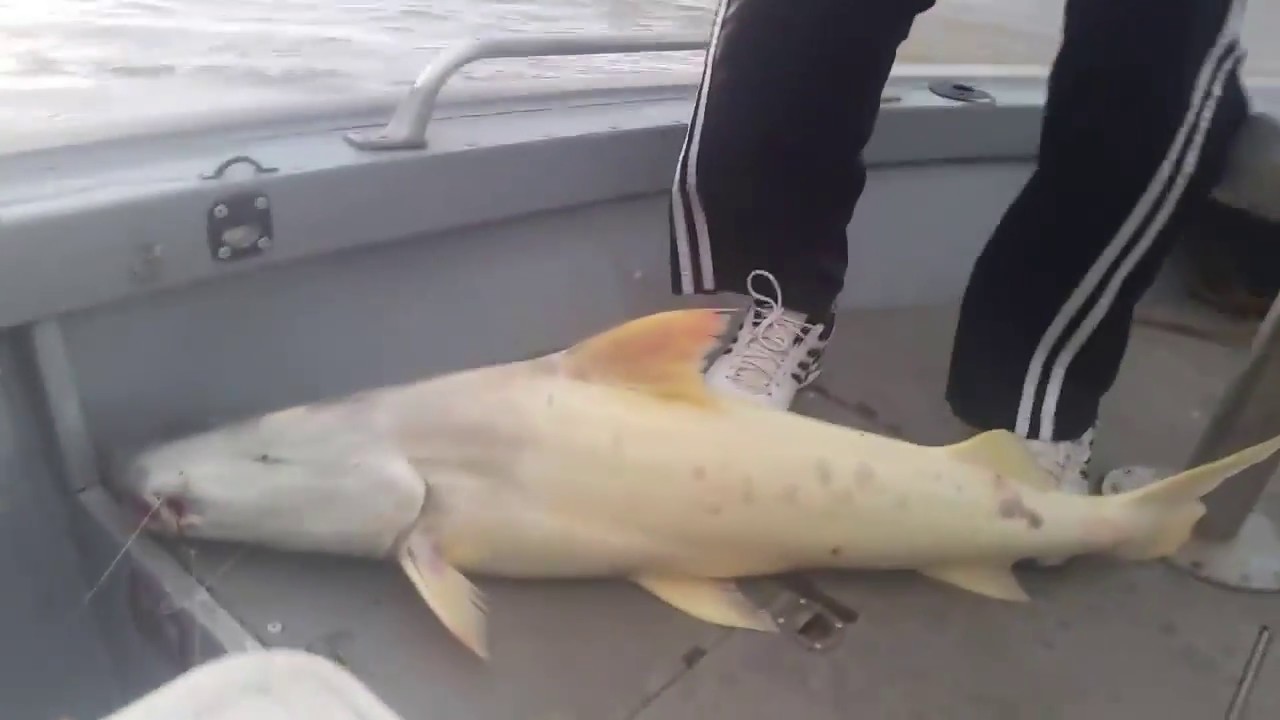 NÃO GOSTOU: Marcos Rocha vai revogar portaria que proíbe pesca esportiva em RO