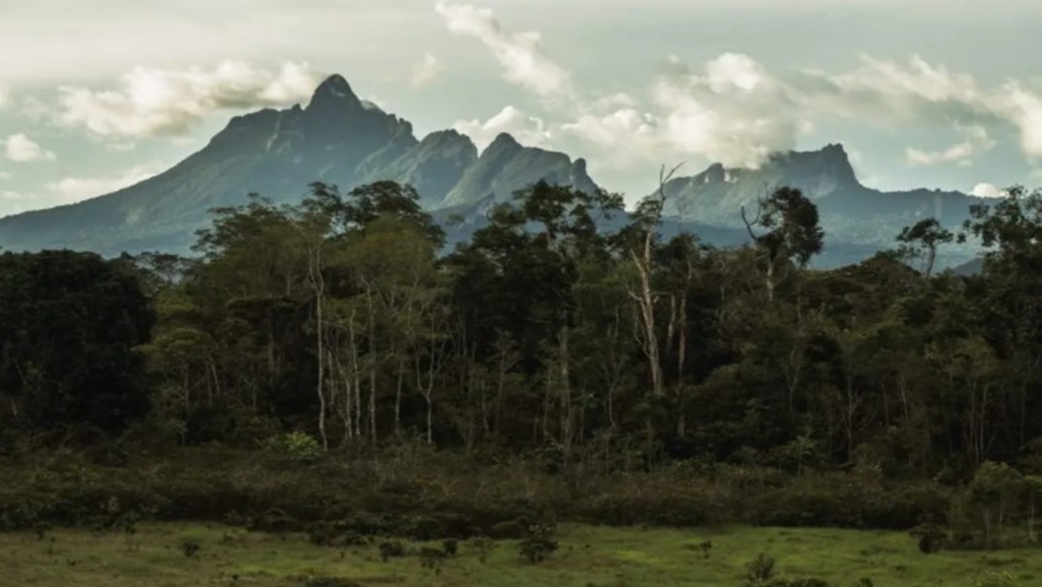 APÓS 20 ANOS: Pico da Neblina é reaberto para a realização de expedições de aventura