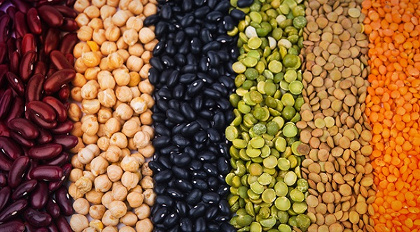 PRODUÇÃO: Brasil poderá colher até 238 milhões de toneladas de grãos na safra 2018/19