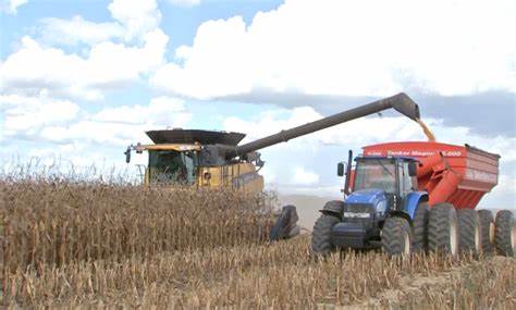 APOIO: Governo libera recursos para o Plano Safra 2021/2022