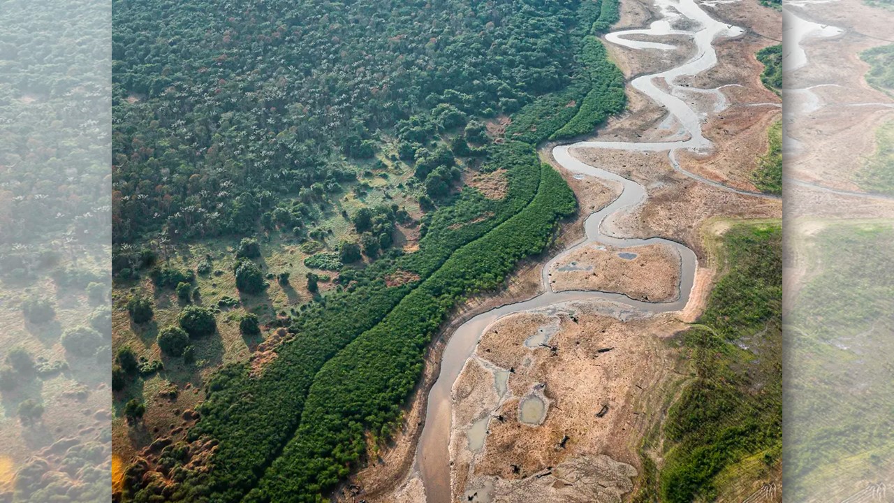 SECAS MAIS FREQUENTES: Amazônia reduz a capacidade de recircular água e estocar carbono