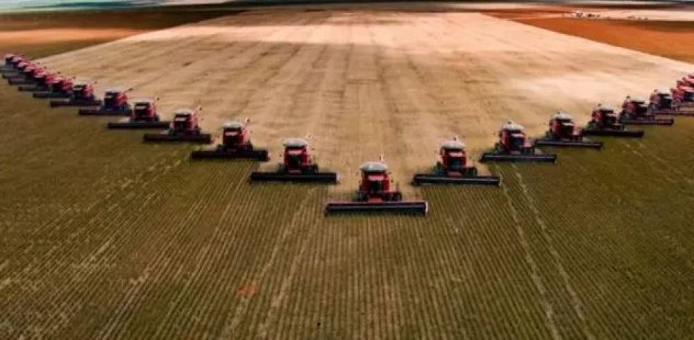 GIGANTES: União de rei da soja e rei do gado agita o Cone Sul de RO