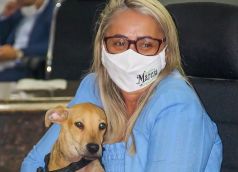 RESPONSABILIDADE: Lei da vereadora Márcia Socorrista pune quem trata mal animais