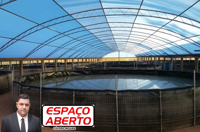 ESPAÇO ABERTO: Peixes de Rondônia irão para o mercado internacional