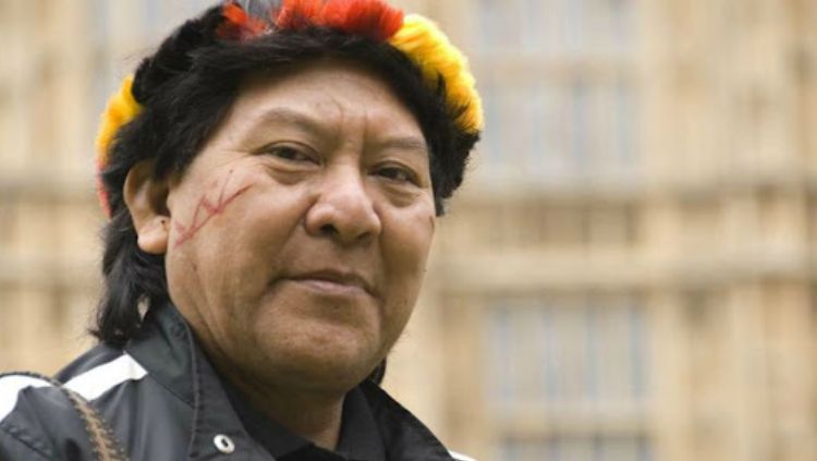 A BELEZA DA ARTE: Regeneração humana em tempos de exaustão