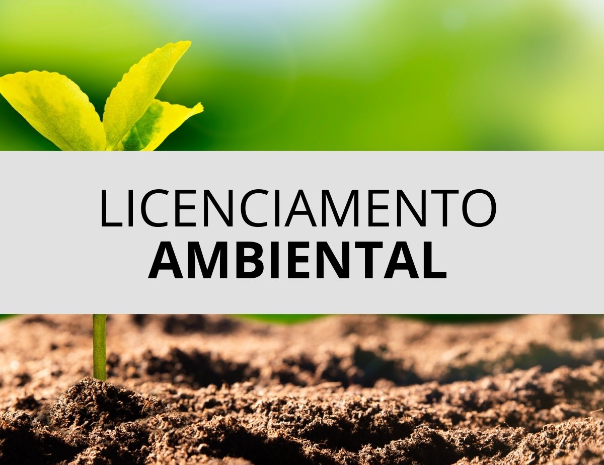 TRIANGULO ARMAZENS GERAIS LTDA