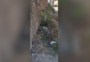 PEDIDO DE PROVIDÊNCIA: Morador denuncia lixo na rua Álvaro Maia e cobra promessa de vereador pastor 