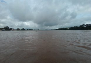 COTAS: Enxurrada atinge rios da Bolívia e pode afetar nível do Madeira