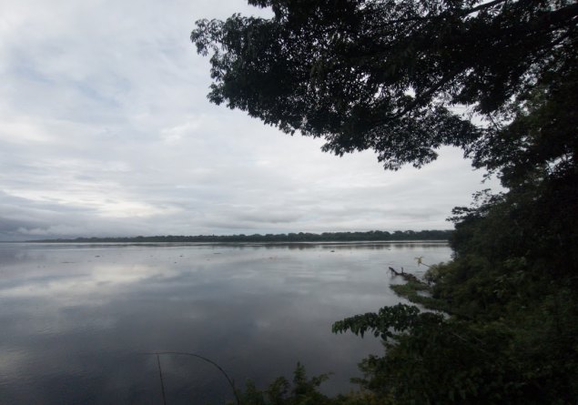 CHEIA 2026: Lideranças do Baixo Madeira e Prefeitura organizam ação contra enchentes