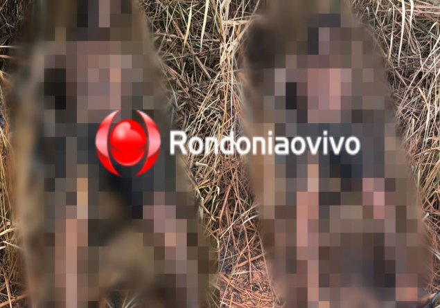 BÁRBARO: Homem é amarrado, morto a tiros e tem corpo carbonizado