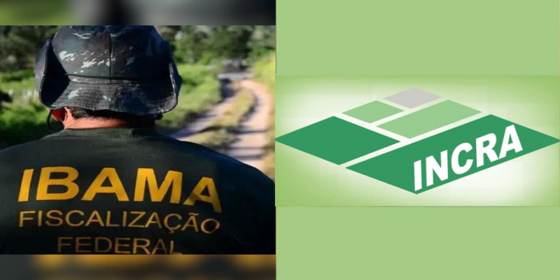 NACIONAL: Ibama e Incra fazem processos seletivos para várias áreas