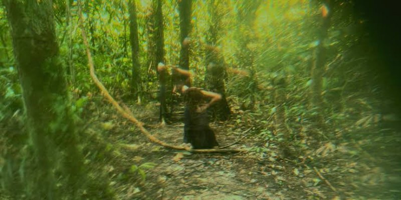 CURTA RONDONIENSE: 'A Ascensão da Cigarra' é selecionado para a Mostra Brasil no 37º Kinoforum
